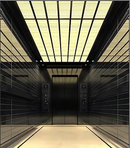 [Hot Item] Black Titanium Etched Passenger Lift, for High-End Project, Gearless Machine