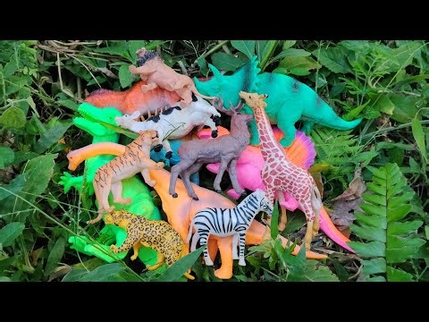 🦁🐼 Animal Toys ASMR for Kids | Calm & Gentle Sounds 🎧