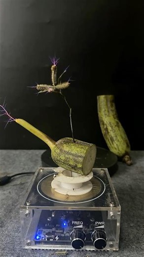 Tesla coil + sponged gourd + Plants