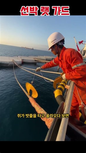 항구에 정박한 배 밧줄에 달린 금속판의 정체