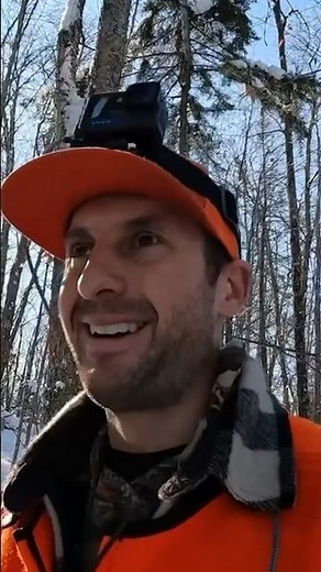 Incredible Adirondack Buck Hunt Footage 📽️ Watch Now! #viralvideo