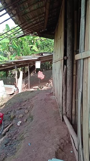 Yog Nyiaj Tss Txaug No: Mus Zog Tau Nyiaj