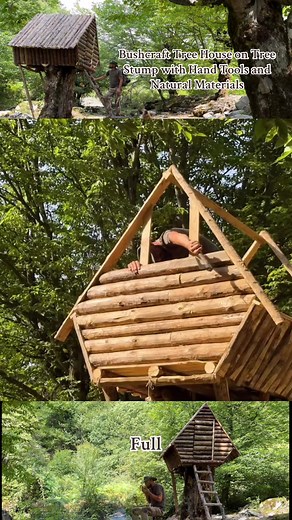 Building a Bushcraft Tree House on a Tree Stump