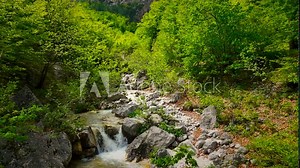 Logar Valley (Logarska dolina) river source of the Savinja River in the Kamnik Savinja Alps in Slovenia during a beautiful springtime day.