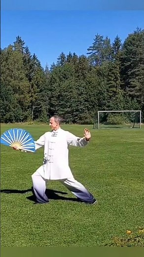 Tai Chi Fan 18 Form Yang-style #taichi #balancefitness #martialarts #nature #mindfulness