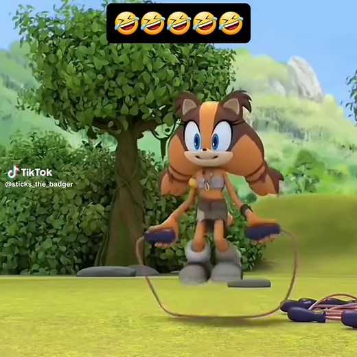Why...Sticks?! OMFG 😆😆🤣🤣 #sonicboom #sticksthebadger #sticks_the_jungle_badger #sonicmemes #funnymemes #memes