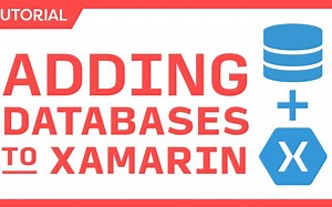 如何使用 SQLite-net 将数据库添加到 Xamarin 和 .NET MAUI 应用程序