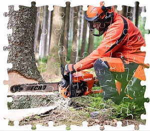 Introducing the ECHO CS-7310. True power and maneuverability to the professional. The powerful 73.5cc 2-stroke engine generates massive torque and provides exceptional cutting performance for heavy duty felling. Weighing 6.7kg with ergonomic and robust, magnesium construction it is ideal for the most challenging professional jobs. | ECHO Global
