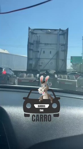 #Nogales Burro con doble semi remolque | Burros con Carro Sonora, Mexico