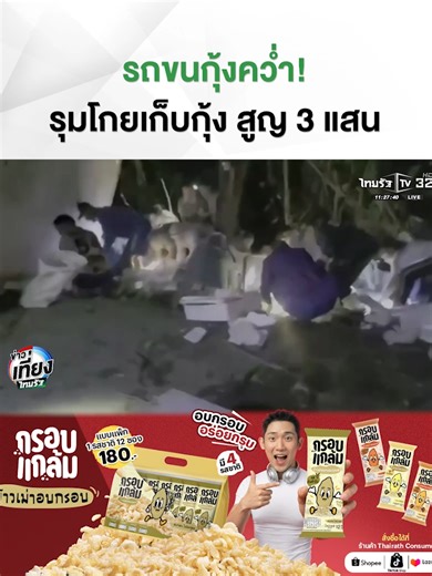 รถขนกุ้งคว่ำ! ชาวบ้านร่วมเก็บกุ้งภายในไม่กี่นาที