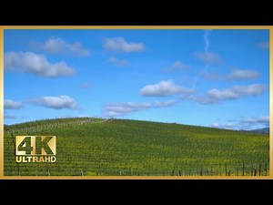 4K Landscapes - Relaxing view of 'Bliss' the Windows XP Desktop