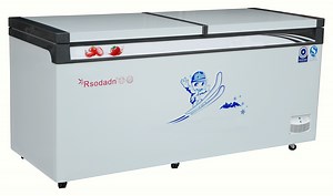 [Hot Item] Lock and Key Top Open Door Deep Chest Freezer