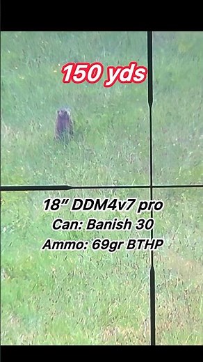 69gr POV Groundhog 🦫 Hunt ​⁠‪@HOPMunitions‬