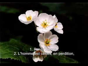 Sourate 103. Le temps (Al-Asr) / Récitation en VO & Traduction en Français par Saad Al-Ghamidi
