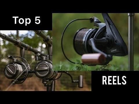 5 Best Carp Fishing Reels For Under £100