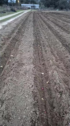 Rodney Cloud on TikTok