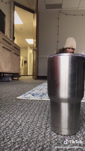 Brooklyn and Bailey (@brooklynandbailey) - Hilarious Genie in a Bottle Moment | Winter is Here