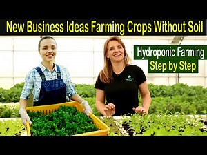 Hydroponic Farming Business Plan - How to Start Business Hydroponic Farm - Business Ideas at Home