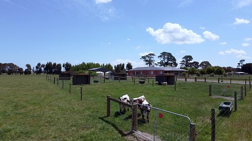 Connect Farmstays on TikTok