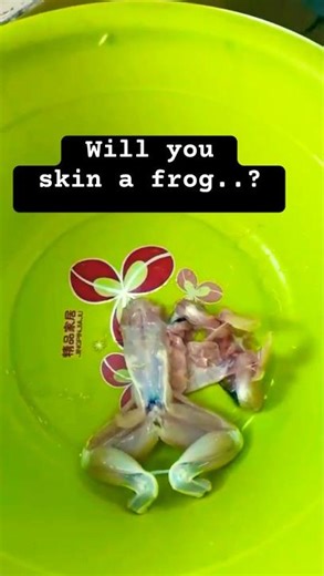 How to skin a frog #shorts#frog#food#shocking @SmiiewithAL