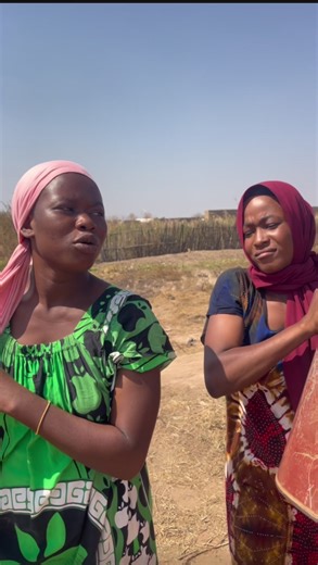 Creator Search Insights