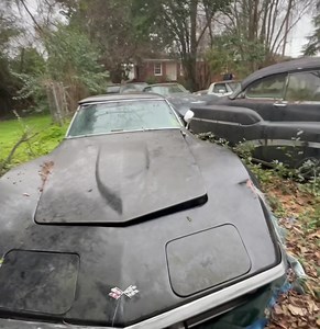 Exploring, abandoned, funeral home with Underground Birmingham was such a fun adventure. We found wooden crates in shipping containers in the basement that bodies were shipped￼ in. There were caskets, cremated human remains and abandoned cars all left behind. #abandonedcars #exploring #abandonedfuneralhome #abandonedUSA #caskets # #cremains #leftbehind | A lady called Johnna
