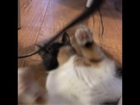 Minecraft Hypixel live 🔴