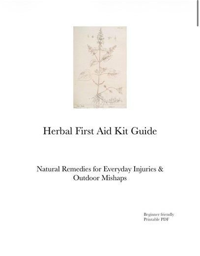 DIY Herbal First Aid Kit Guide, Natural Remedies for Cuts, Bug Bites & Burns, Printable - Etsy UK