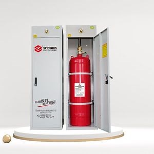 [Hot Item] FM200 Clean Agent Fire Suppression System