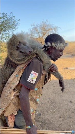 Bush man with big baboon hunt