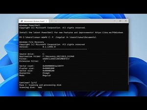 How To Fix Windows File Recovery Not Working on Windows 11/10