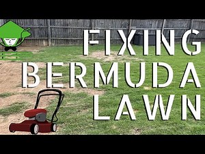 FIXING YOUR LAWN (Bermuda Grass)