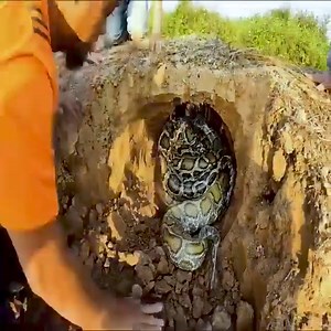 My Lovely Myanmar Travels & Tours on Reels | Facebook