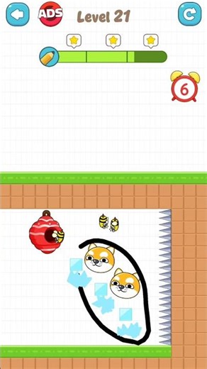 Save the pets level 21