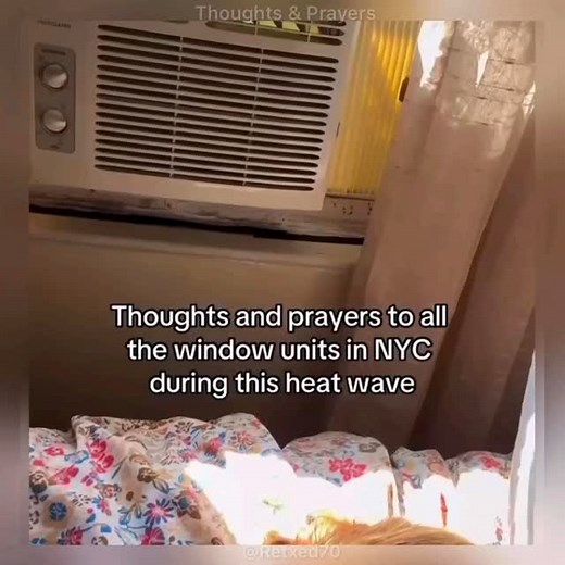 My thoughts and prayers are with every air conditioner window unit in NYC during this difficult time. God will give you strength. 🫢🤭😂😆🤣 #thoughtsandprayers #mycondolences #inmemoriam #inmemoryof #airconditioner #windowunit #summer #summerheat #theheat #canyoufeeltheheat #retxed70 | Dexter Stringfellow