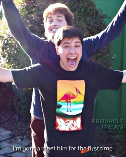 THEY DID IT! #dnf #dnfedit #dreamteam #dream #sapnap #gnf #dreamedit #sapnapsociety #dsmp #mcyt #fypシ#viraledit #omg #dreamwastaken #dreamnotfound