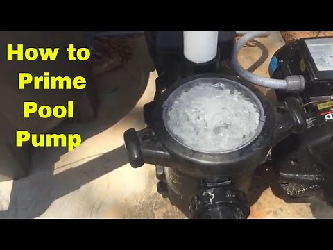 Pool Basics: How to Prime a Pool Pump