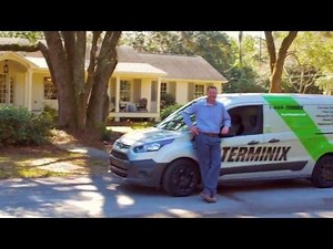 Our Termite Protection is Unmatched