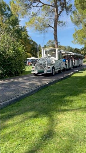 Magico mondo del cosplay 2025 #train