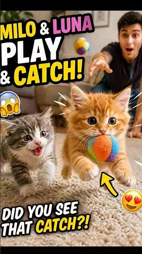 🐱 Milo & Luna | Cute Kittens Playing With a Ball 😂 #shorts #cutecat #kittenshorts