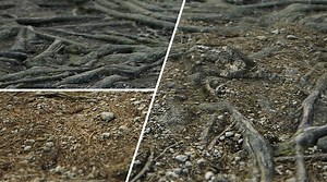 Allegorithmic Releases Substance Designer 5.6