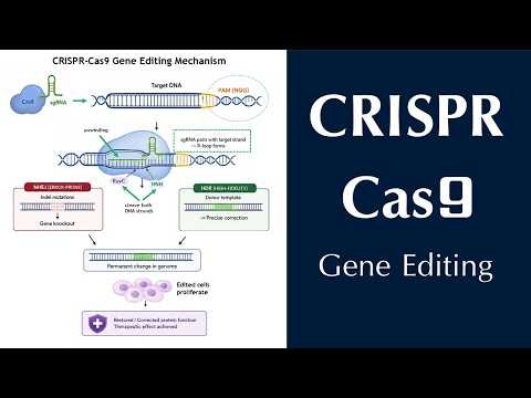 CRISPR-Cas9 Gene Editing Explained | CRISPR Technology | Genome Editing Made Easy