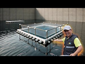 Grow Azolla at Home: The Ultimate DIY Guide for Sustainable Production. #viralvideo