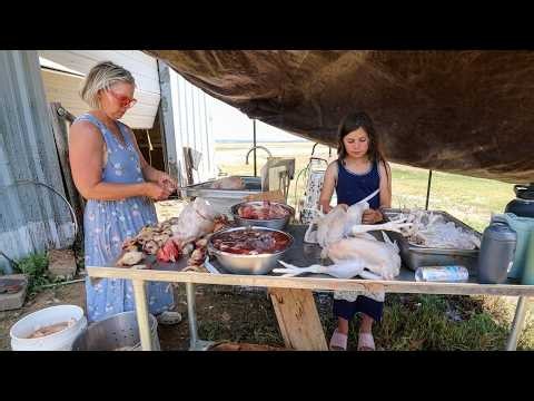 Processing Our Meat Chickens: Step-by-Step