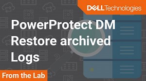 Restore a set of logs using Log Sequence Numbers from PowerProtect Data Manager