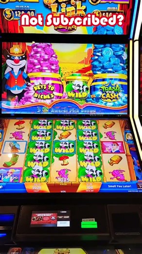 Stink Link Wild Feature Live Highlight! #stinkinrich #slotbonus