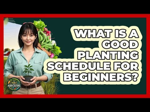 What Is A Good Planting Schedule For Beginners?