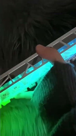 Dark night abyss,spiderweb keyboard glows with cool style!🖤🕸️🕷️ #keyboard #asmr #koreankeyboard