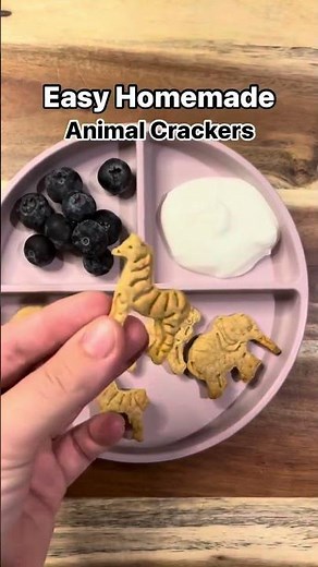 How to make homemade animal crackers!!