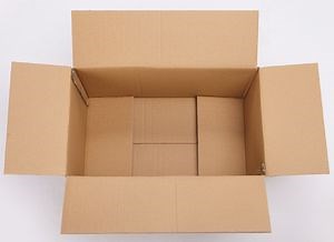 [Hot Item] Industry-Standard Durable Corrugated Cardboard Shipping Boxes for Heavy-Duty Moving and Long-Distance Logistics